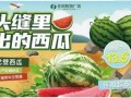 热门大瓜每日大赛,揭秘娱乐圈风云变幻，大赛精彩瞬间回顾